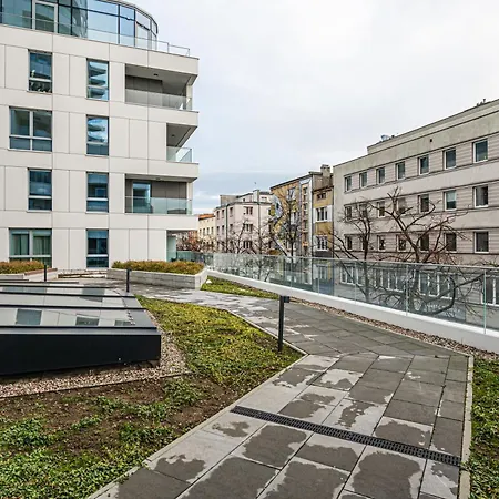 Baltic Blue - Billberry